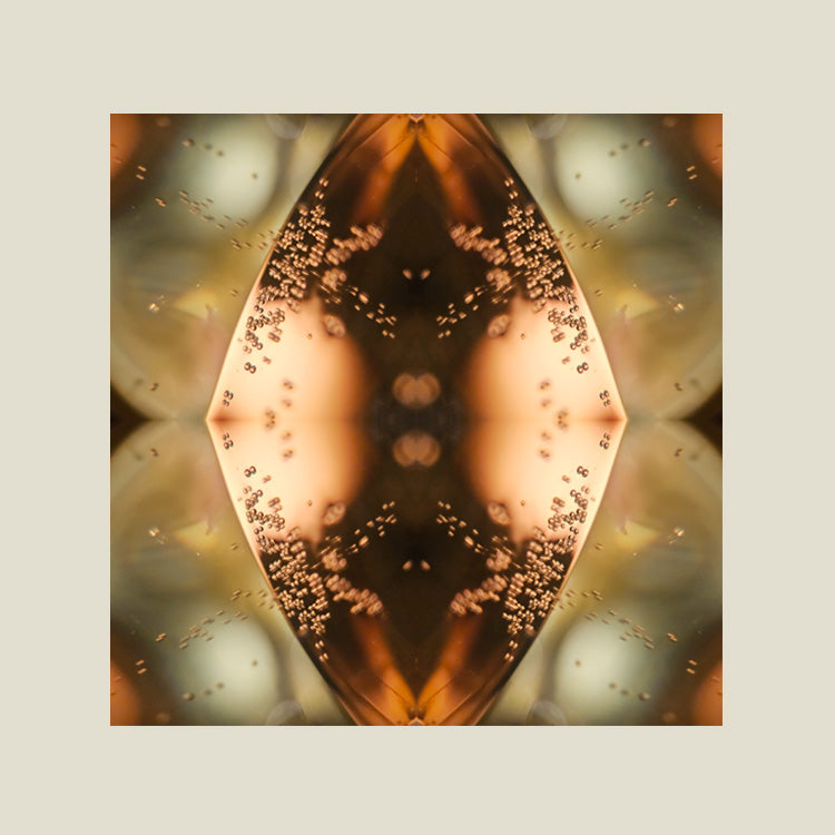 Print | Calming Champaign 02