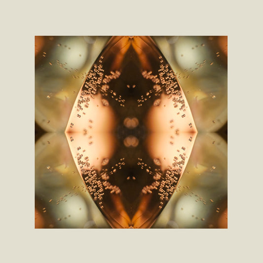 Print | Calming Champaign 02