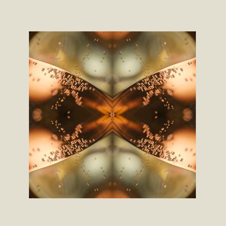 Print | Calming Champaign 03