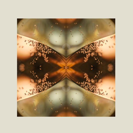 Print | Calming Champaign 03