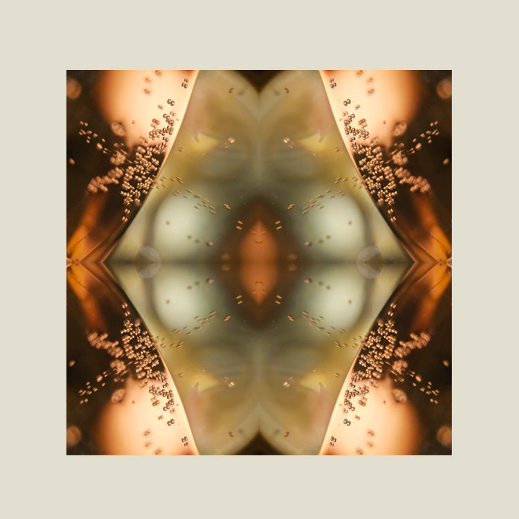 Print | Calming Champaign 04