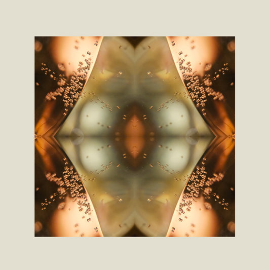 Print | Calming Champaign 04